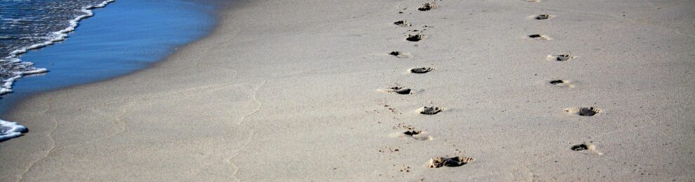 Predigtreihe: Alles vorbei! Oder? Predigtreihe: Alles vorbei! Oder?