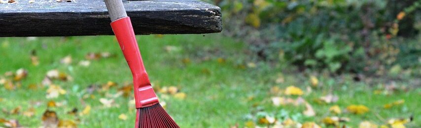 Herbstputz und Garteneinsatz Herbstputz und Garteneinsatz