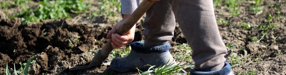 „Wer andern eine Grube gräbt…“ „Wer andern eine Grube gräbt…“