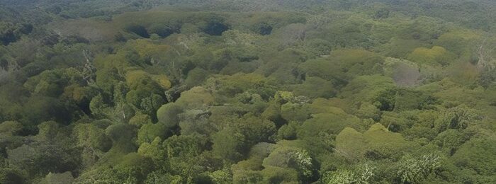 Einladung zum Klimacafé Einladung zum Klimacafé