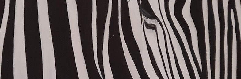 Ausstellungseröffnung“Patina“