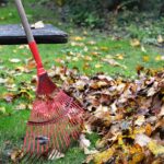 Herbstputz & Garteneinsatz