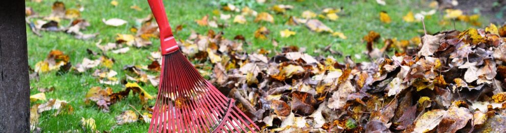 Herbstputz & Garteneinsatz
