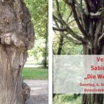 Vernissage: Sabine Schirrow – „Die Welt der Bäume“